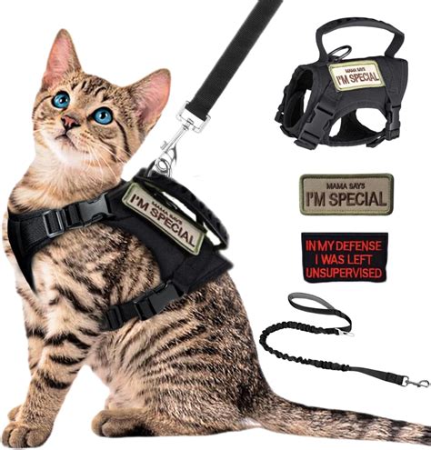 Cat Vest Amazon