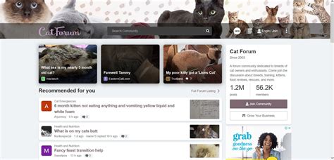 猫動画プラットフォームのイメージ