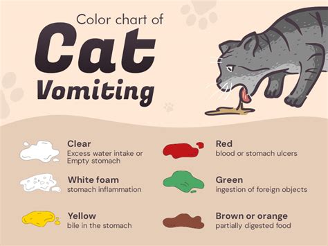 Cat Vomiting Blockage