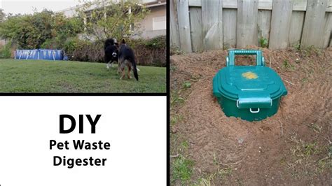Cat Waste Digester