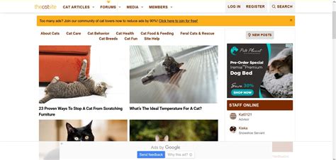 cat website official reviews