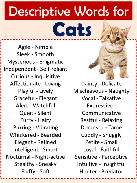 Cat Lovers Favorite Cat Words