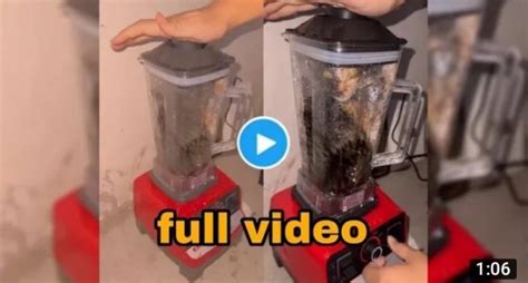 The Cat in the Blender Incident Unraveling a Viral Hoax