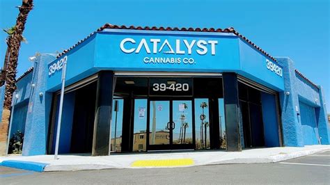 catalyst cannabis palm desert