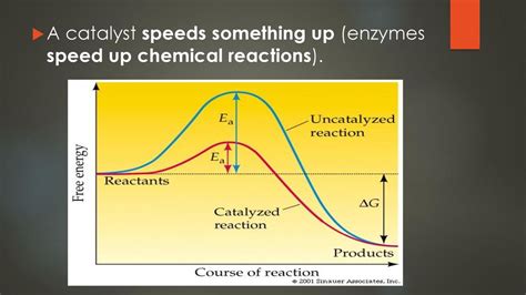 Catalyst Chemical Speed