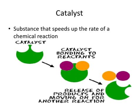 catalyst definition biology definition