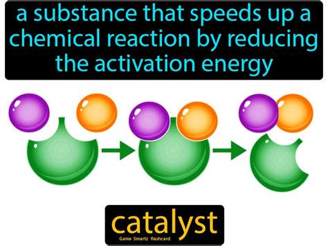 catalyst definition biology quizlet