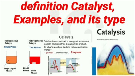 Catalyst Definition With Examples
