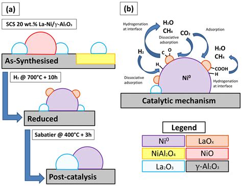 Catalyst Examples Natural