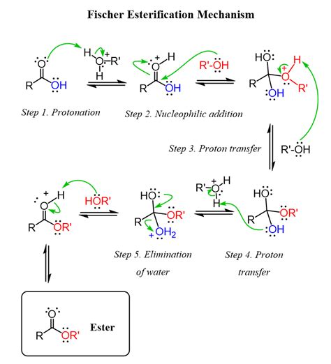 Catalyst For Fischer Esterification