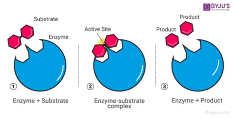 Catalyst Selectivity Example