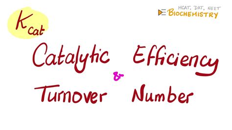 Catalytic Turnover Equation