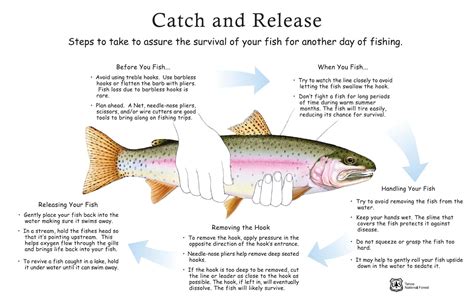 Catch and Release Fishing in Pennsylvania