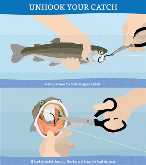catch and release hooks