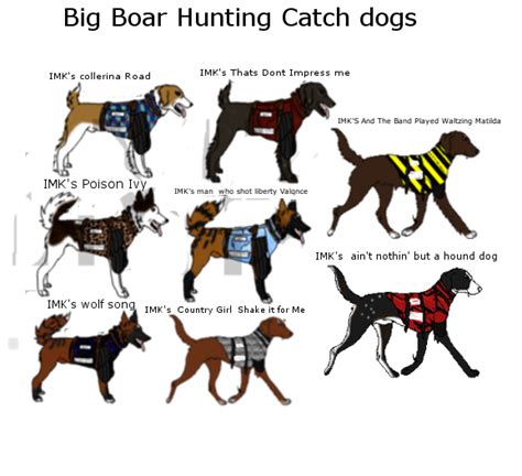 Catch Dog Breeds