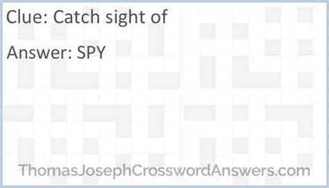 catch sight of crossword clue dan word