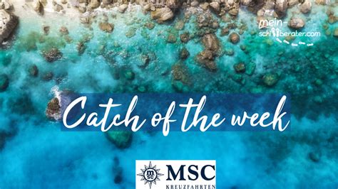 MSC Catch of the week buche deine stark reduzierte Kreuzfahrt Mein Schiffberater