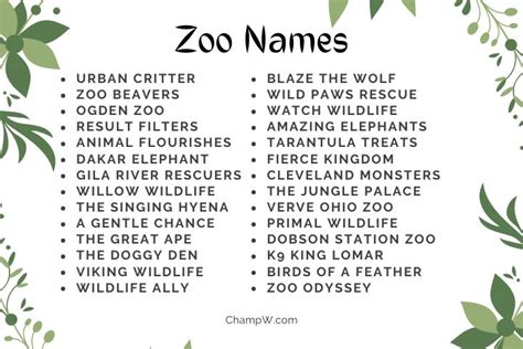 Catchy Zoo Names