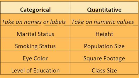 categorical vs numerical data quiz
