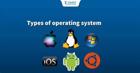 categories of operating system software