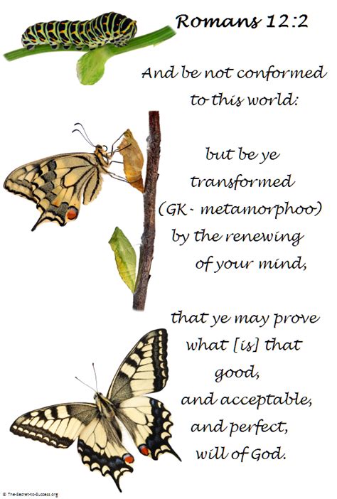 caterpillar and butterfly in the bible