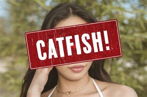 Catfish Alert Meaning