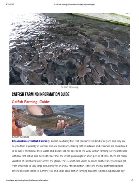 Catfish Farming Guide Pdf