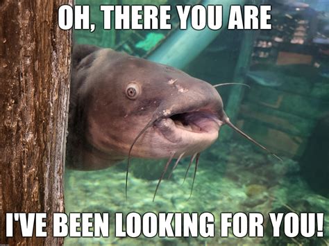 Put this in my PowerPoint lets see if anybody notices funny