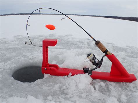 catfish on the ice