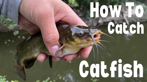 Catfish Youtube