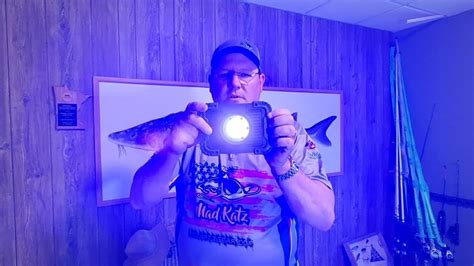 Catfishing Lights
