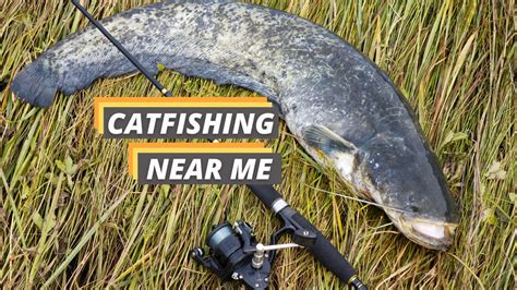 catfishing near me