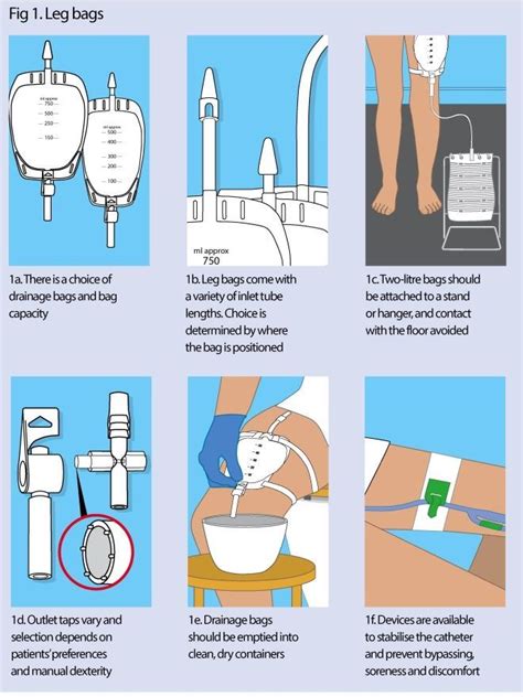 catheter care nursing care plan