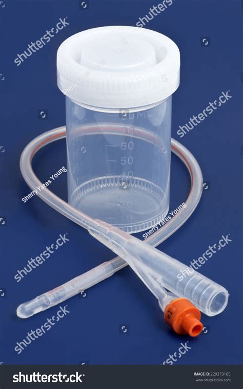 catheterized urine specimen