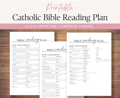 catholic bible study guides