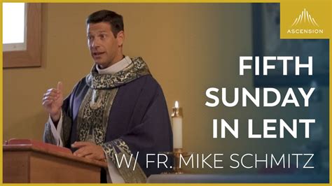 catholic mass online today fr mike schmitz