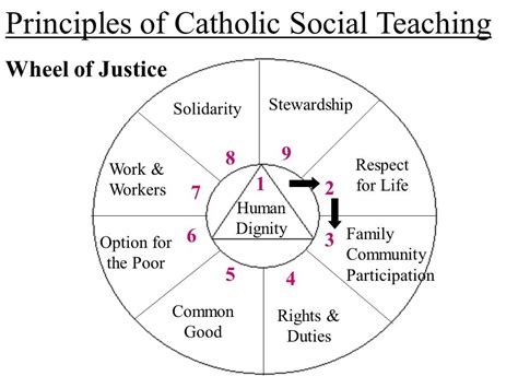 catholic social justice teachings