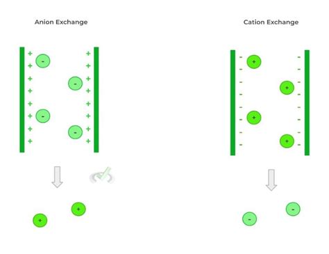 Master the Cation Exchange Basics: Your Ultimate Guide for Cation Mastery