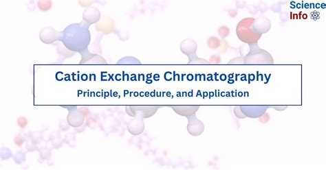 Cation Exchange Chromatography Techniques for Experts