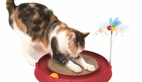 Catit Play 3 in 1 Circuit Ball Toy with Scratch Pad Walmart Canada