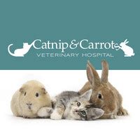 Catnip And Carrots Veterinary