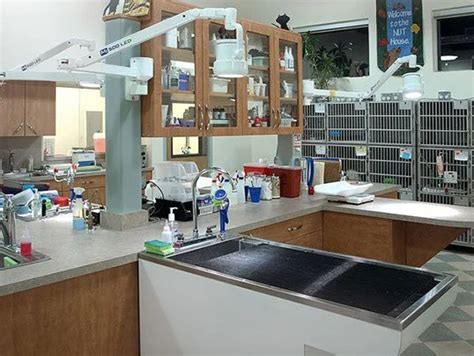 Catnip And Carrots Veterinary Hospital