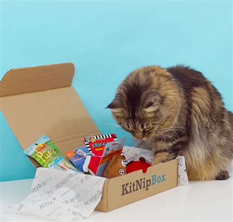 Catnip Boxes For Cats