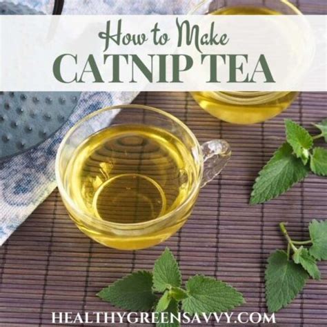 Catnip Herb In Tea