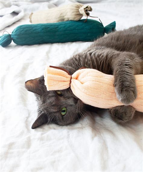 Catnip In Sock