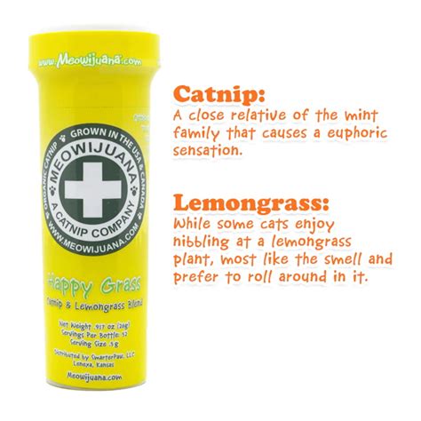 Catnip Lemongrass