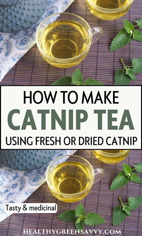 Catnip Tea How To Make