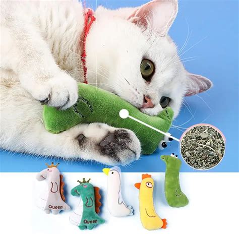Catnip Toy Cute