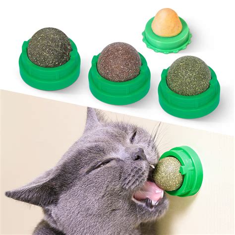 Catnip Toys And Dogs