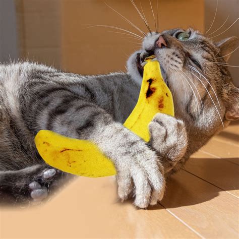 Catnip Yellow Toys